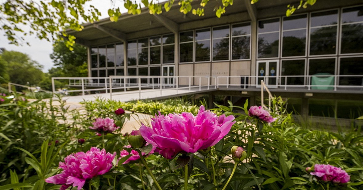 Burling Library in early summer