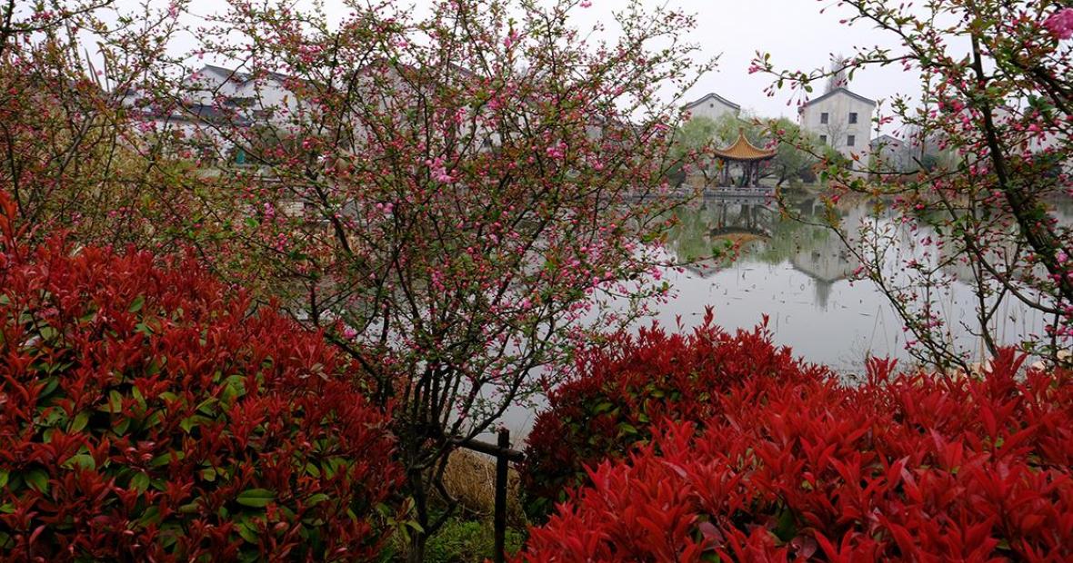 Pink buds and red foliage surrounding the lake.