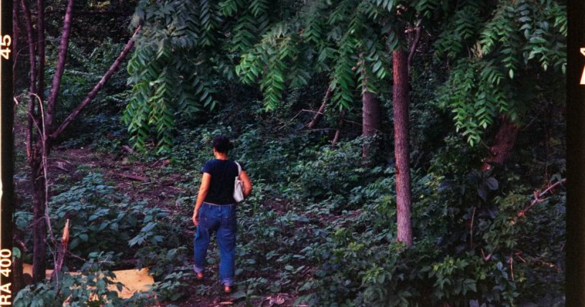 An oversaturated photo of green scenery (trees and dirt paths), with one person walking on a trail.