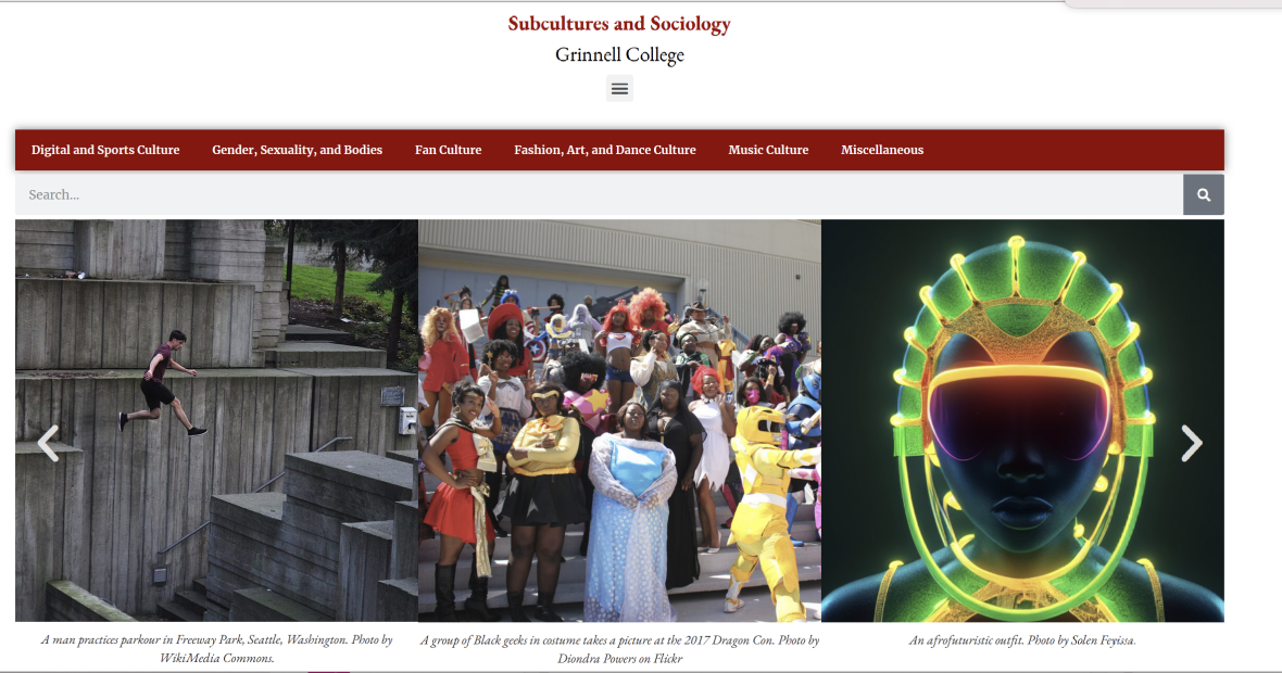 The Sociology and Subculture website