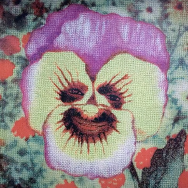 A purple and yellow pansy bloom with details of eyes and a mouth in the center