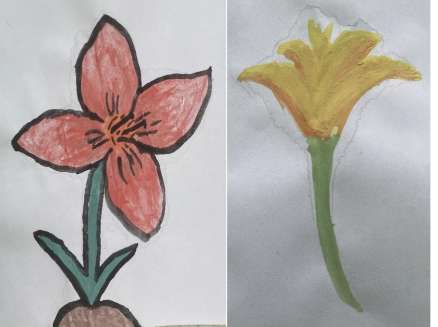 Example of two watercolor flowers, on outlined in black
