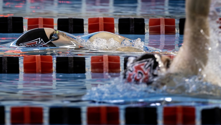 swimmers doing the backstroke in the pool