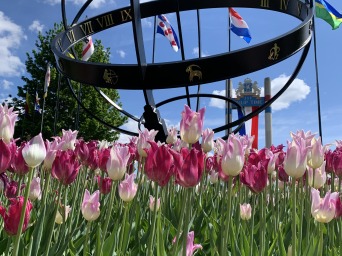 Beautiful tulips in front of a circular sculpture at the Tulip Festival