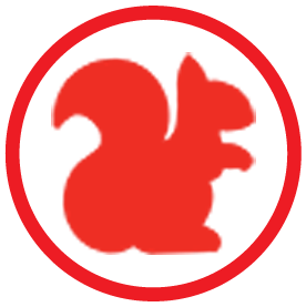 squirrel icon