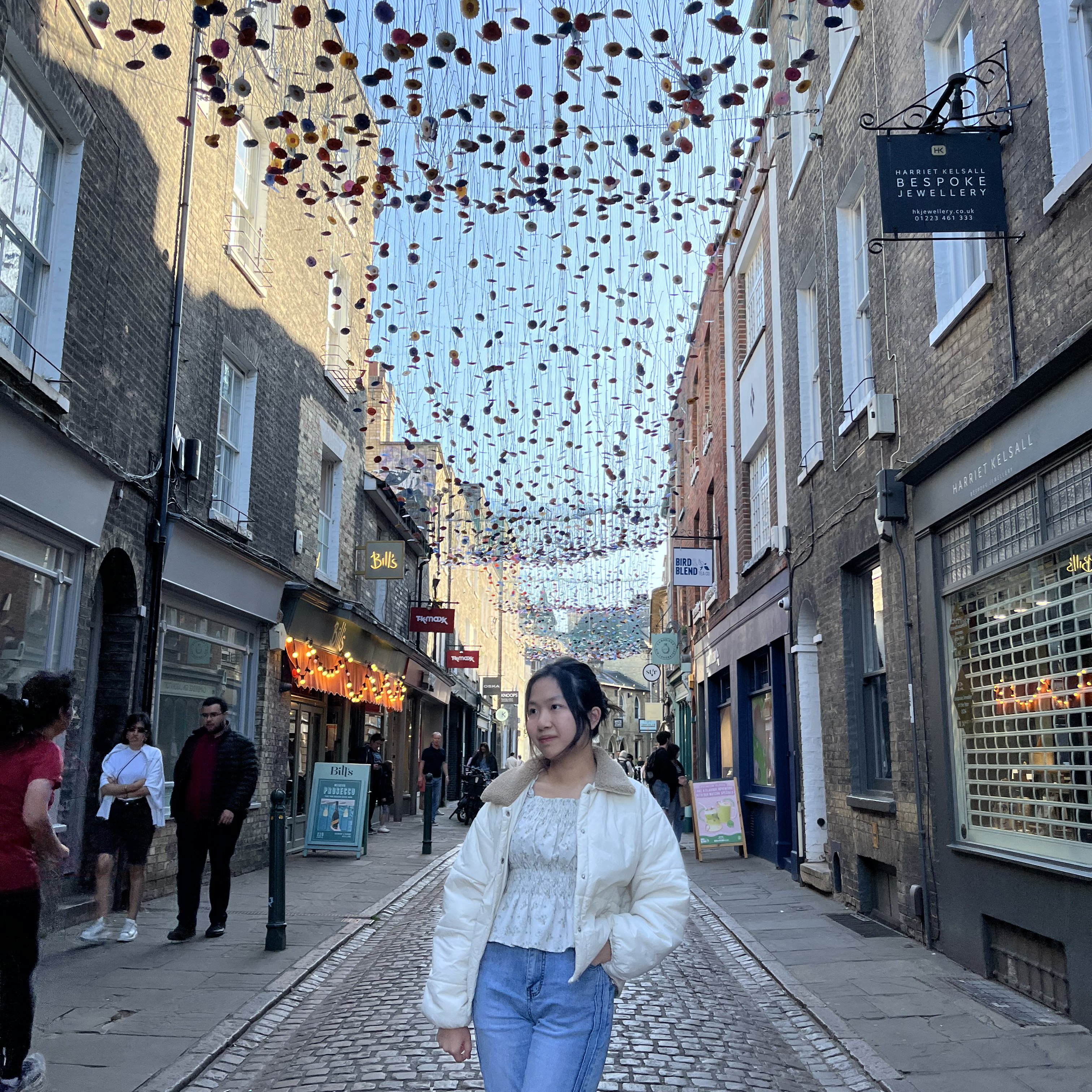 Hero Image with Text