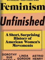 Cover of Feminism Unfinished by Astrid Henry