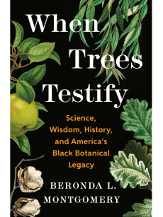 Book Cover of When Trees Testify