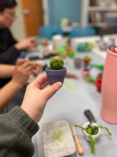 a felt cactus 