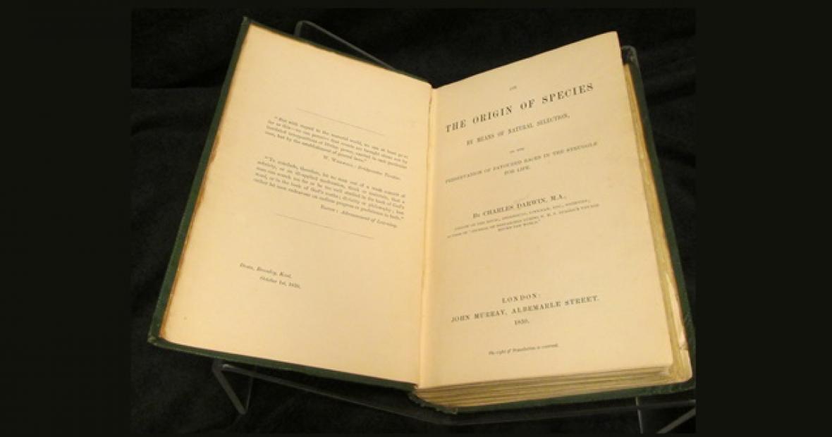 on the origin of species on the origin of species