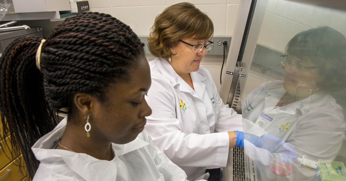 Queenster Nartey and Shannon Hinsa-Leasure work in a fume hood.