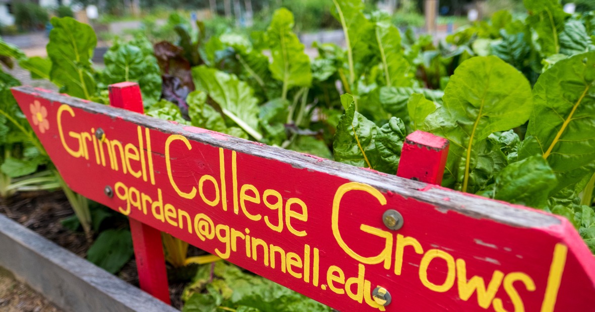 Grinnell College Garden sign in a raised bed. Sign says Grinnell College Grows garden at grinnell.edu