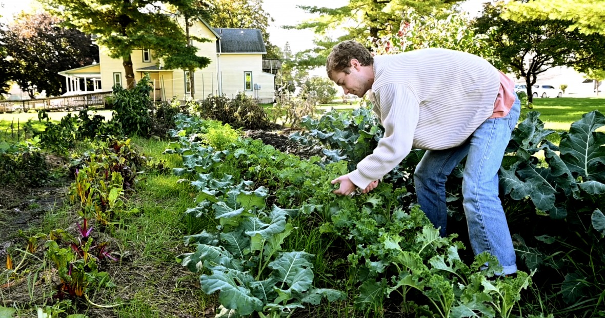 Tommy Hexter trimming crops in the Farm House garden