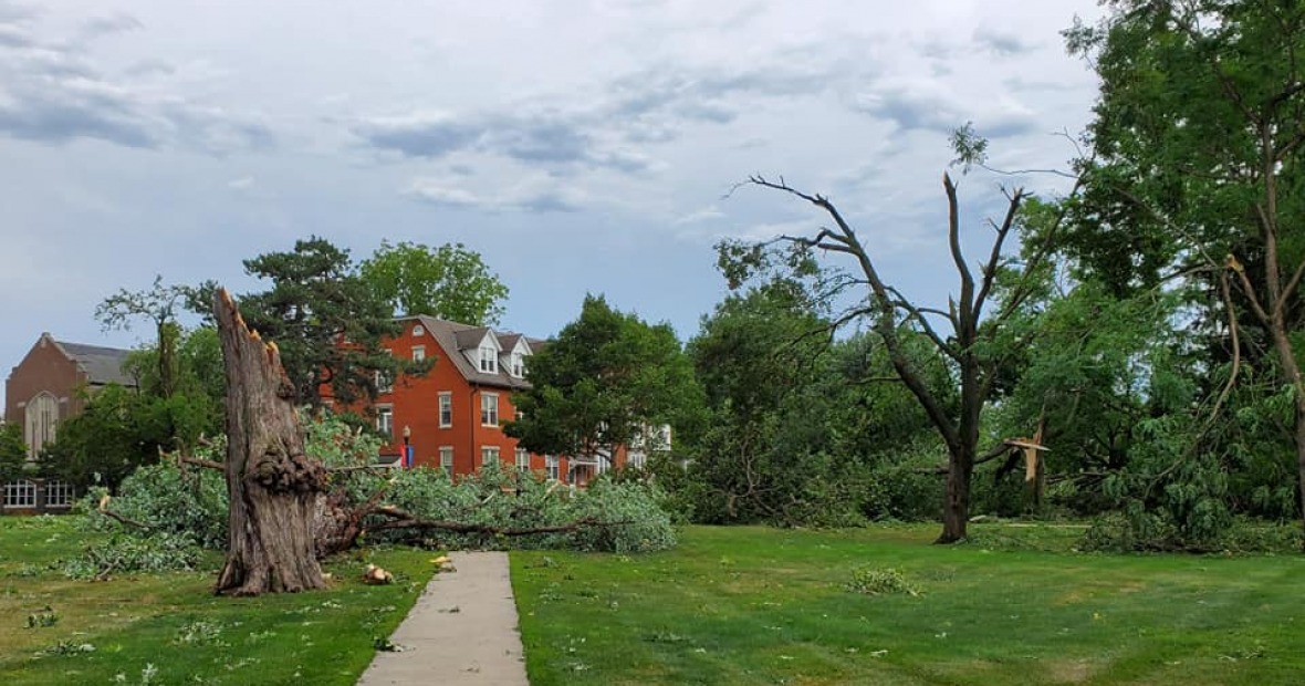 Tree damage from derecho storm near Mears Cottage