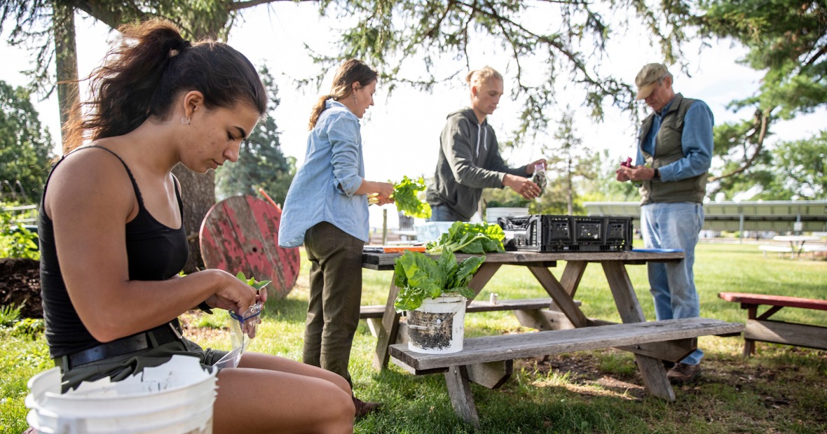 Students and Jon Andelson work in the College Garden