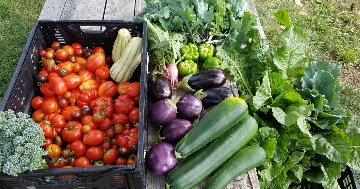Image of garden produce from the Grinnell College garden
