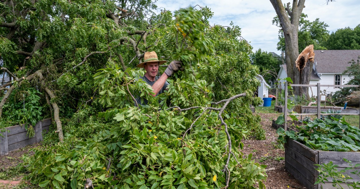 Professor Andelson clearing trees off of the campus garden after the 2020 derecho