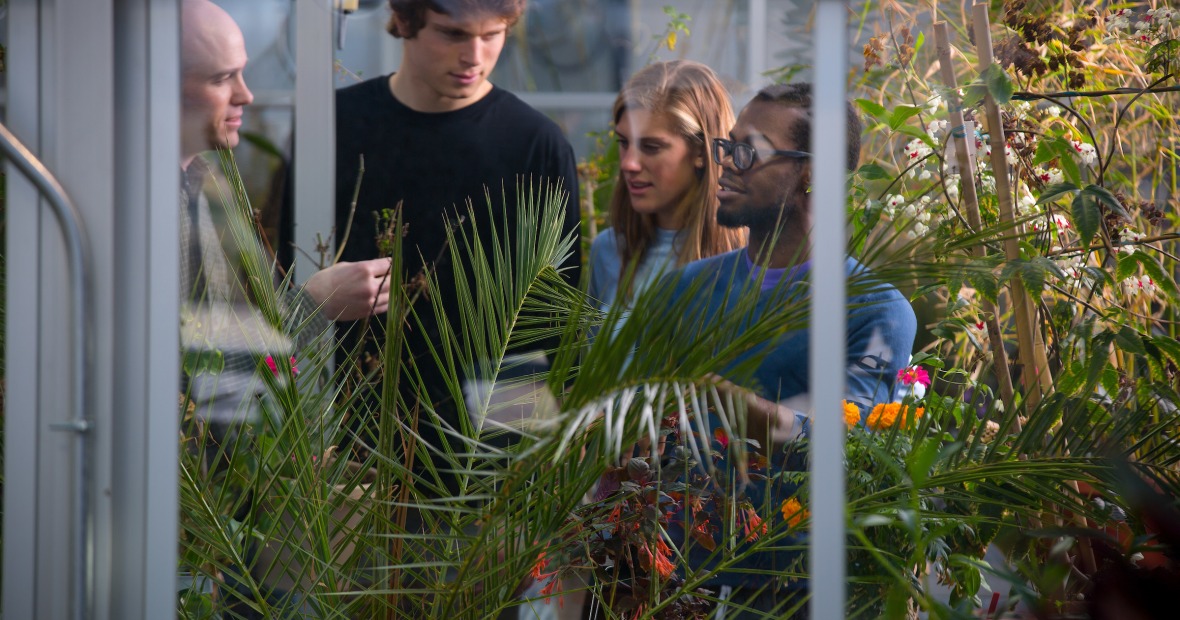 Students and professor in greenhouse seen through pane of glass