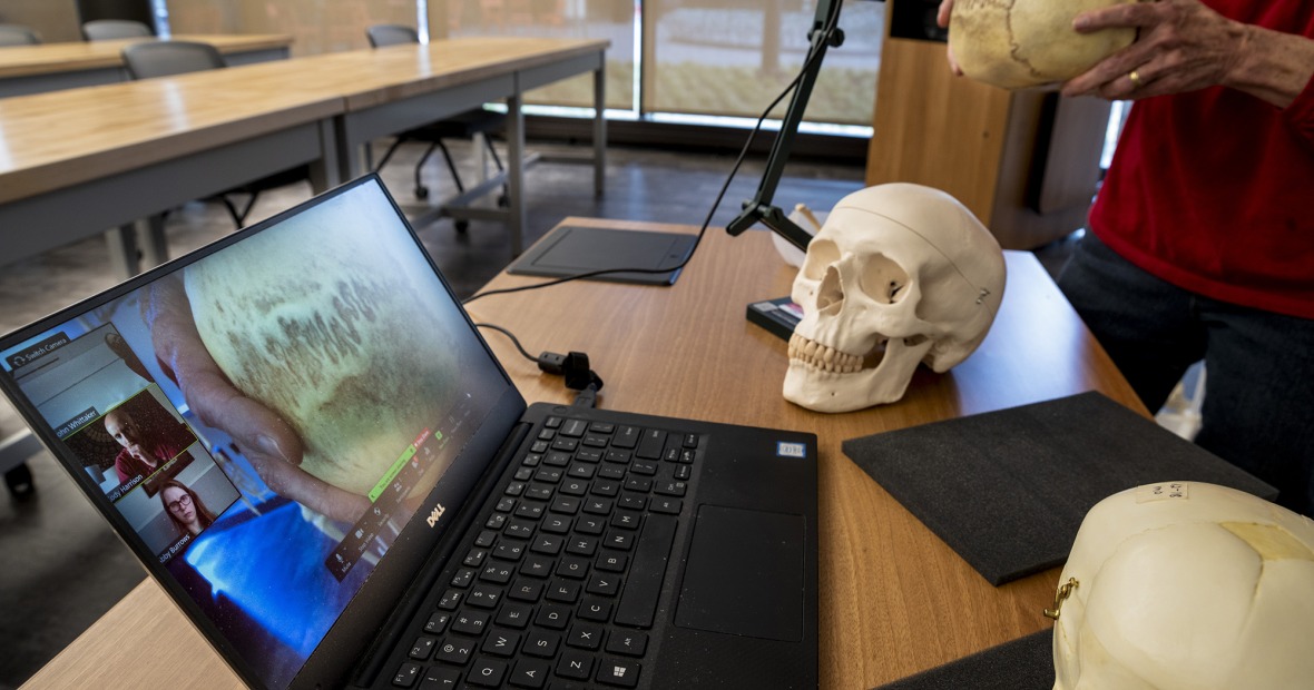 A laptop and models of the human skull