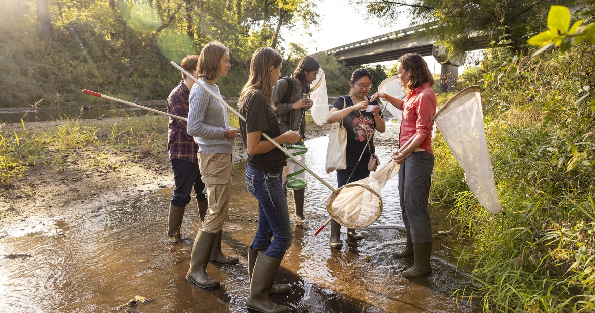 Idelle Cooper and her students walk through a stream with nets to catch insects