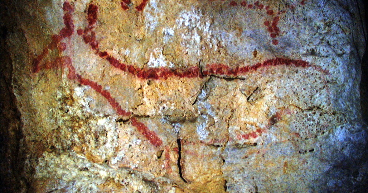 A closeup view of ancient cave art depicting a red deer in Covalanas cave