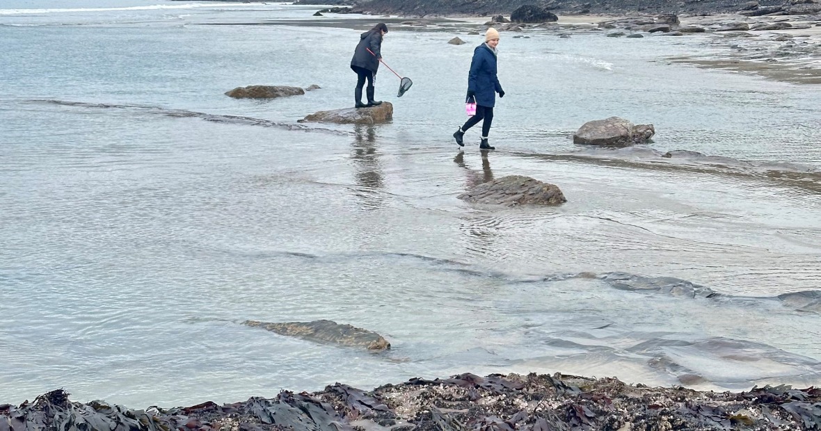 two students who hold a bucket and net stand on partially exposed beach searching for sea creatures in Wales