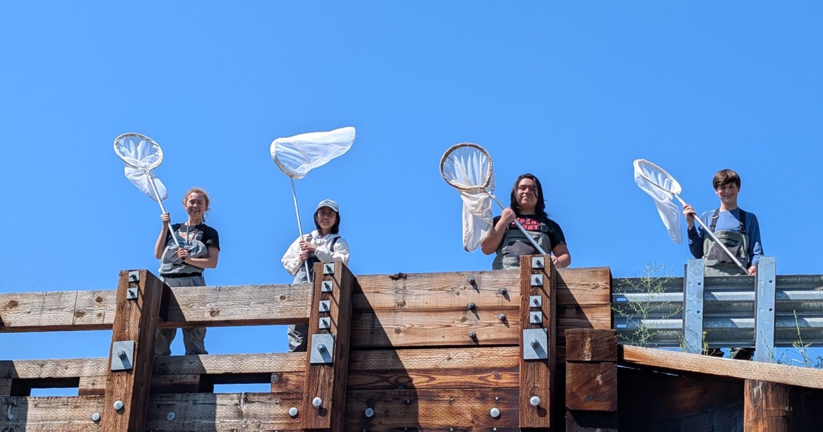 Four students holding butterfly nets pose on a bridge with a brilliant blue sky behind them