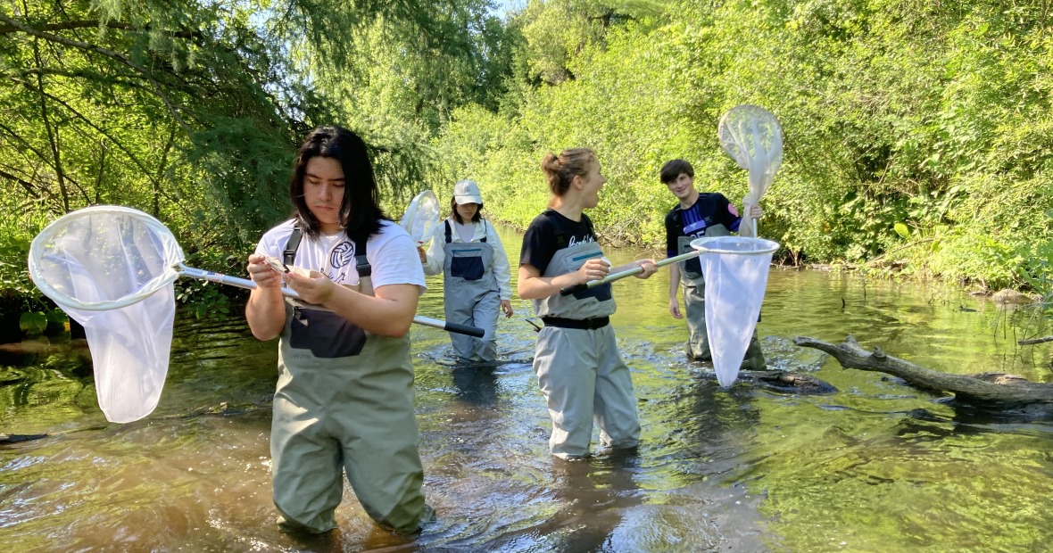 Four young people carrying butterfly nets walk in a shallow stream surrounded by trees