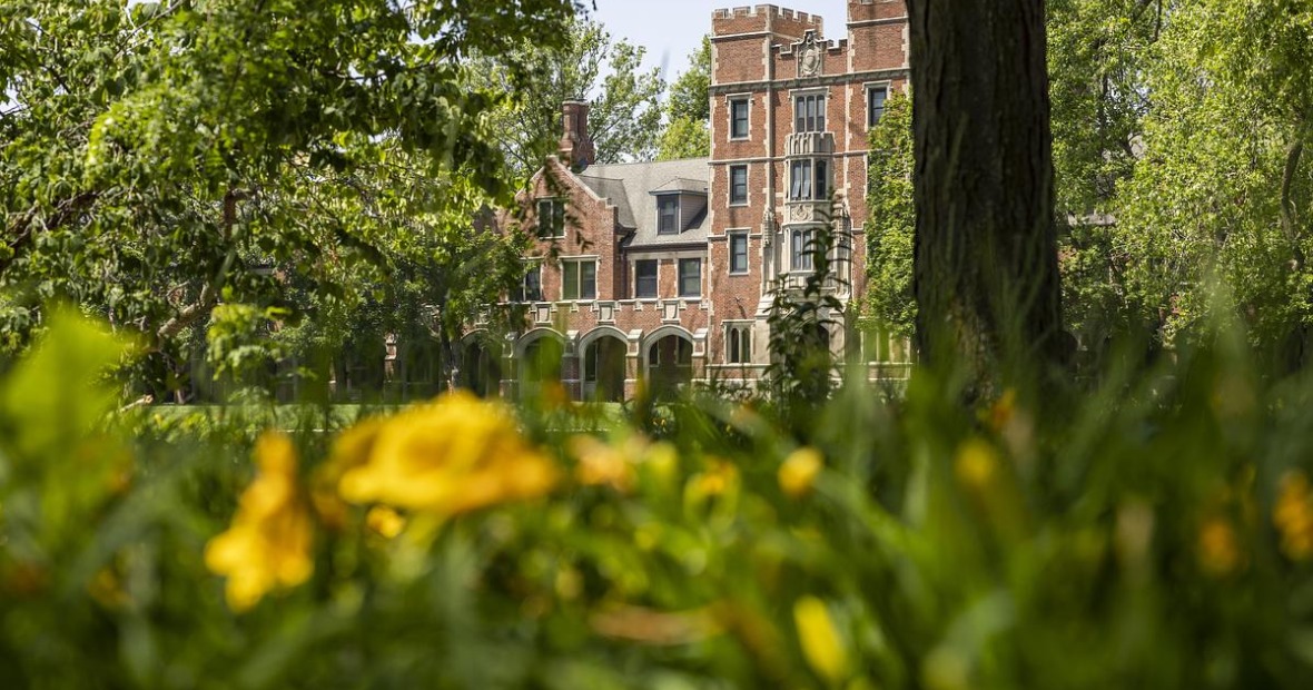 Yellow and green flowers in front of gates