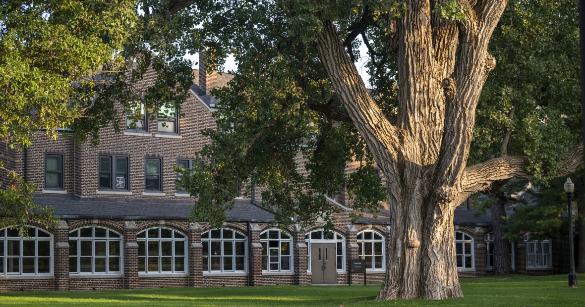 A huge tree casts shade on the South Campus residence halls.