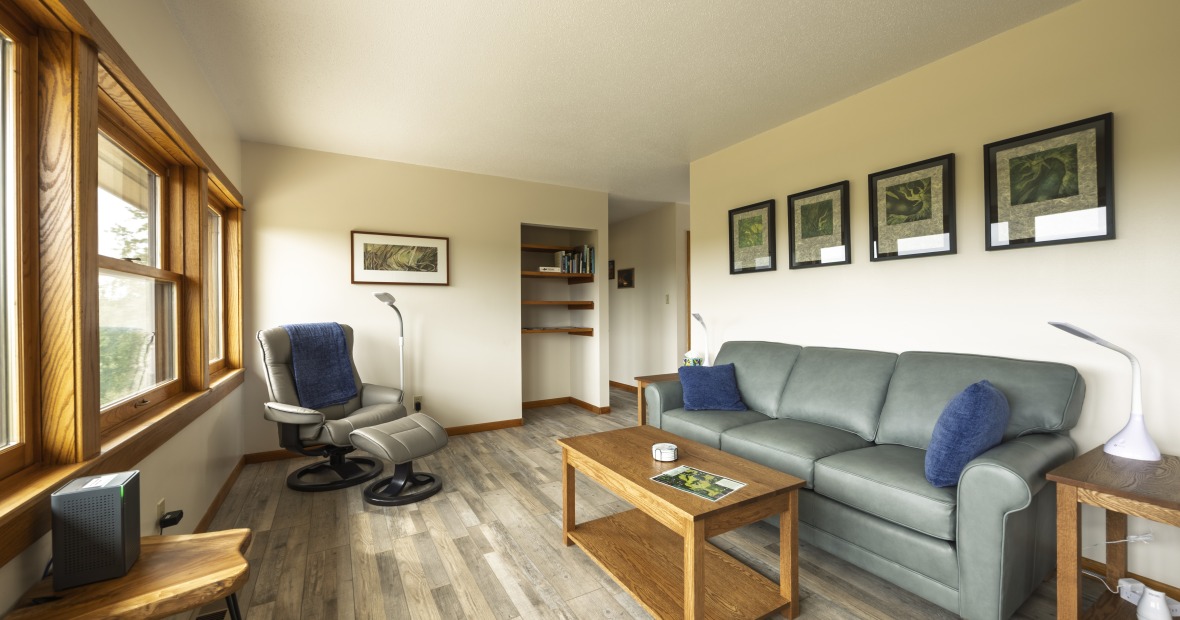 A beautiful light-filled room with a blue leather sofa