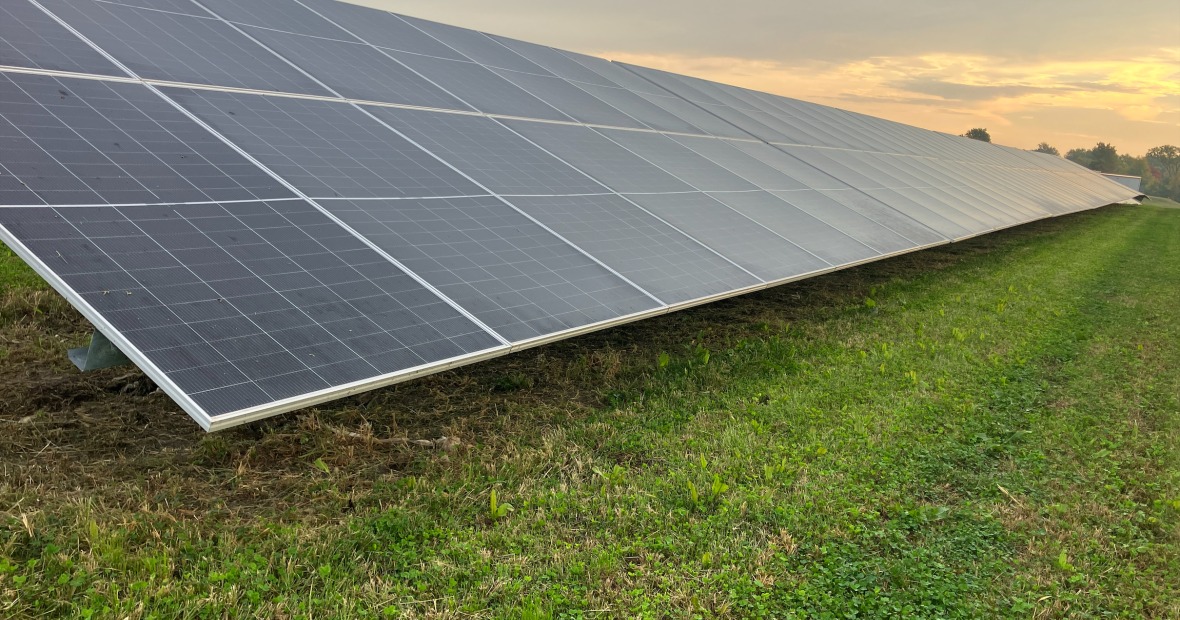 An array of solar panels in a field with green grass; a grey cloudy sky is above. 
