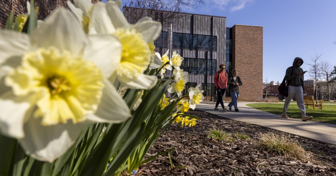 flowers and people walking