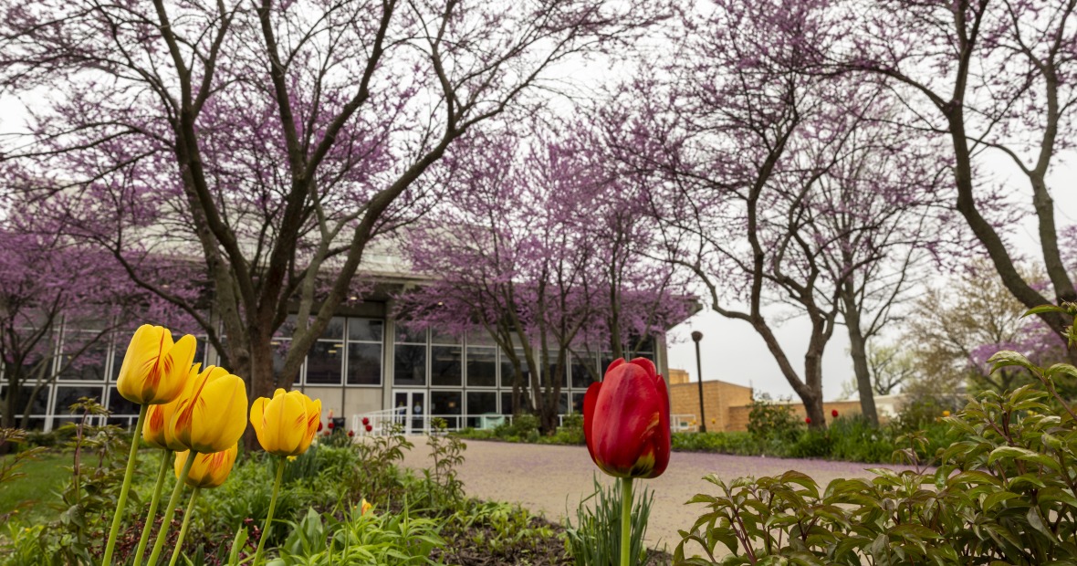 Burling Library