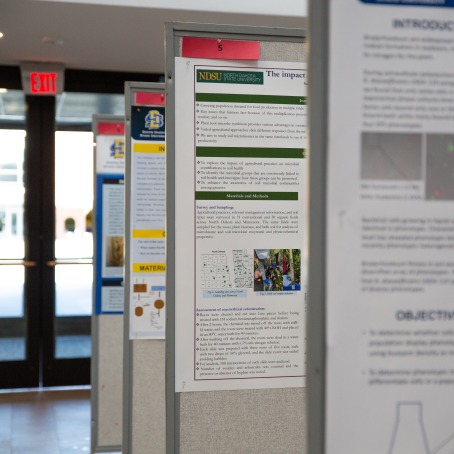 A row of bulletin boards with research posters attached.