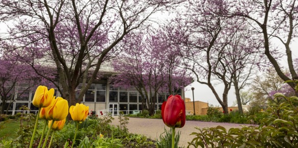 Burling Library