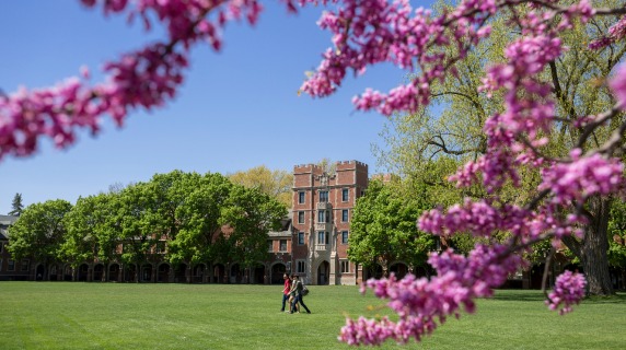 Redbud blossoms with North Campus in background