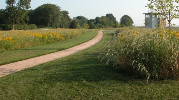 gravelled path winding through narrow corridor of lawn flanked by stretches of prairie grasses and forbs