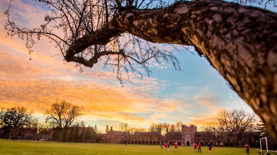 Sunset over Gates Tower with tree in forefront