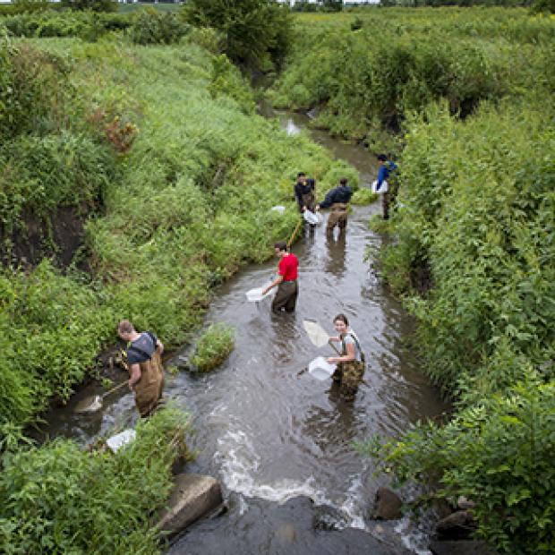 Students collect samples in creek 