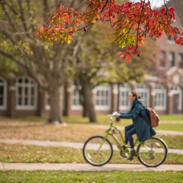 student on bike in south campus with autumn leaves