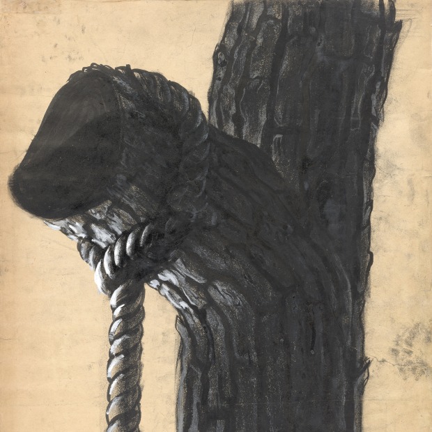 frayed rope on stump