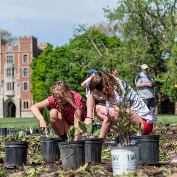 students unpotting prairie plants in prepared garden bed