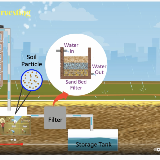 Illustration of commercial rainwater harvesting