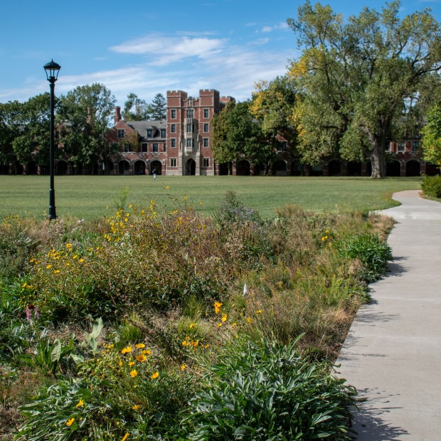 North Campus Prairie plot in fall with North Campus halls in the background