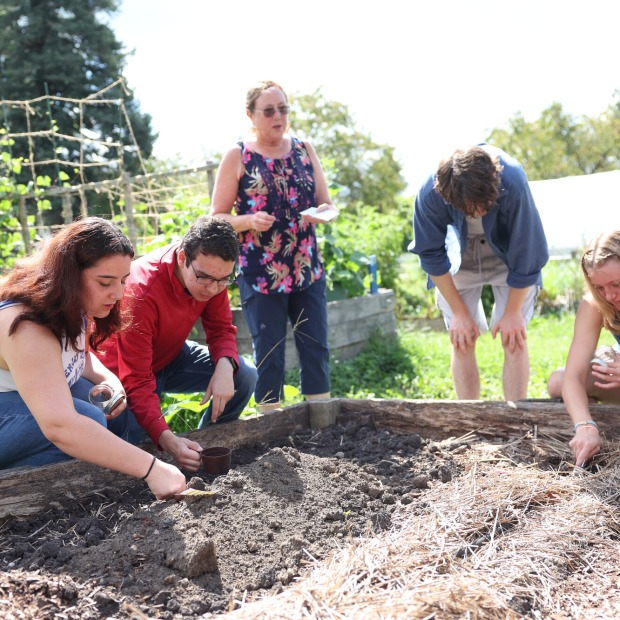Four students crouch in front of a garden bed of soil under the supervision of a biology professor.