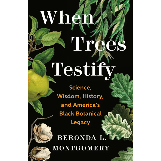 Book Cover of When Trees Testify