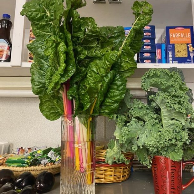 A counter with fresh kale and shelves stacked with cans of soup and vegetables in the background