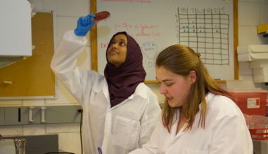 Zina Ibrahim ’17 and Alexandra J. Petrusan ’18 research antimicrobial copper alloys.