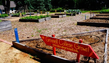 Grinnell College Grows! sign in garden bed